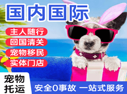 黑河航空货运国际宠物托运 【国